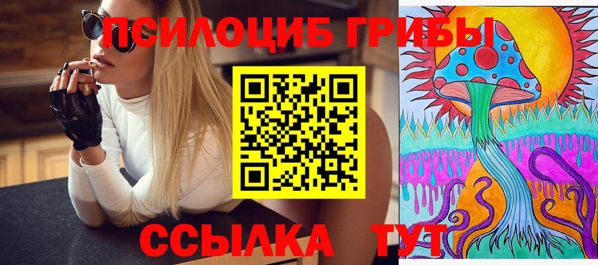 Галлюциногенные грибы Cubensis Петрозаводск