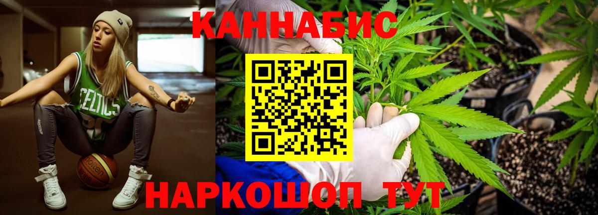 Бошки Шишки план Петрозаводск